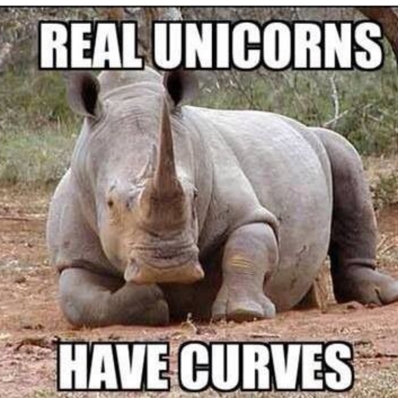 November 29th 3X-6X Train Show!! 1 Year Anniversary!! Unicorn Sizes!!! - Picture 11 of 11